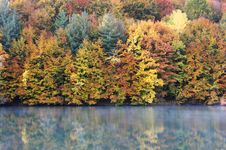 Morning Reflection Of An Autumnal Forest Royalty Free Stock Images Morning Reflection Of An Autumnal Forest Royalty Free Stock Images