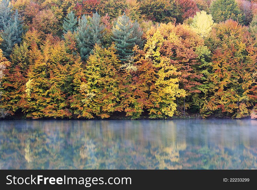 Morning reflection of a colorful autumnal forest over a misty lake. Morning reflection of a colorful autumnal forest over a misty lake
