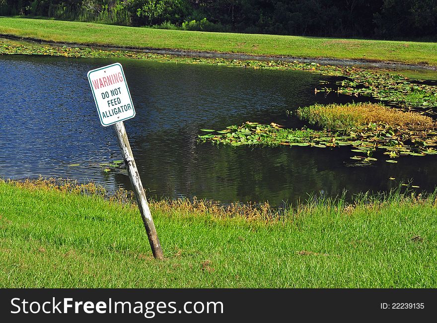 Warning Do Not Feed Alligator sign nearby a pond, surrounded by grass and trees. Warning Do Not Feed Alligator sign nearby a pond, surrounded by grass and trees.