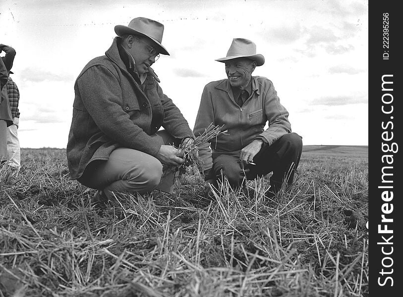 Original Collection: Extension and Experiment Station Communications Photograph Collection

Item Number:  P120:2925

Item Description: Marion Weatherford, left, prominent Gilliam County wheat rancher, discusses the merits of trashy fallow with Art King, right, OSC Extension soils specialist at the Gilliam County Soil Conservation Field Day.

You can find this image by searching for the item number by clicking here. 

Want more? You can find more digital resources online. 

We&#x27;re happy for you to share this digital image within the spirit of The Commons; however, certain restrictions on high quality reproductions of the original physical version may apply. To read more about what “no known restrictions” means, please visit the  Special Collections &amp; Archives website, or contact staff at the OSU Special Collections &amp; Archives Research Center for details. Original Collection: Extension and Experiment Station Communications Photograph Collection

Item Number:  P120:2925

Item Description: Marion Weatherford, left, prominent Gilliam County wheat rancher, discusses the merits of trashy fallow with Art King, right, OSC Extension soils specialist at the Gilliam County Soil Conservation Field Day.

You can find this image by searching for the item number by clicking here. 

Want more? You can find more digital resources online. 

We&#x27;re happy for you to share this digital image within the spirit of The Commons; however, certain restrictions on high quality reproductions of the original physical version may apply. To read more about what “no known restrictions” means, please visit the  Special Collections &amp; Archives website, or contact staff at the OSU Special Collections &amp; Archives Research Center for details.