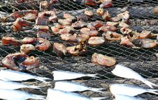 Dried Fish In The Fisherman Village Stock Photography