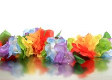 Colorful Reflection Royalty Free Stock Photo Colorful Reflection Royalty Free Stock Photo