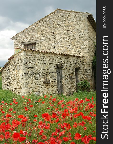Poppies near a typical Provence stone house