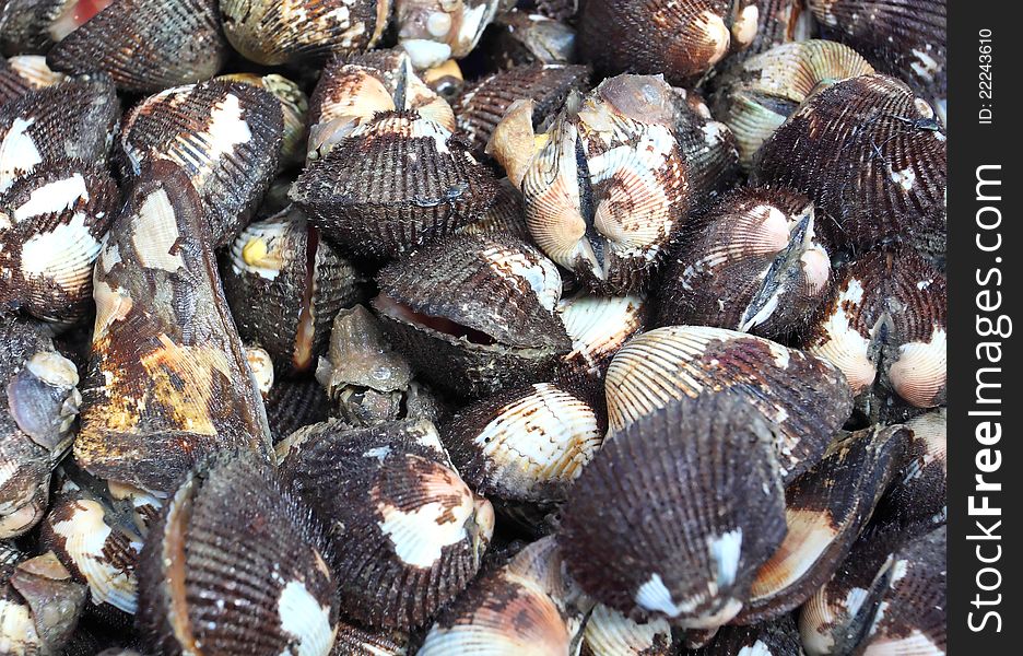fresh cockles for sale at a market