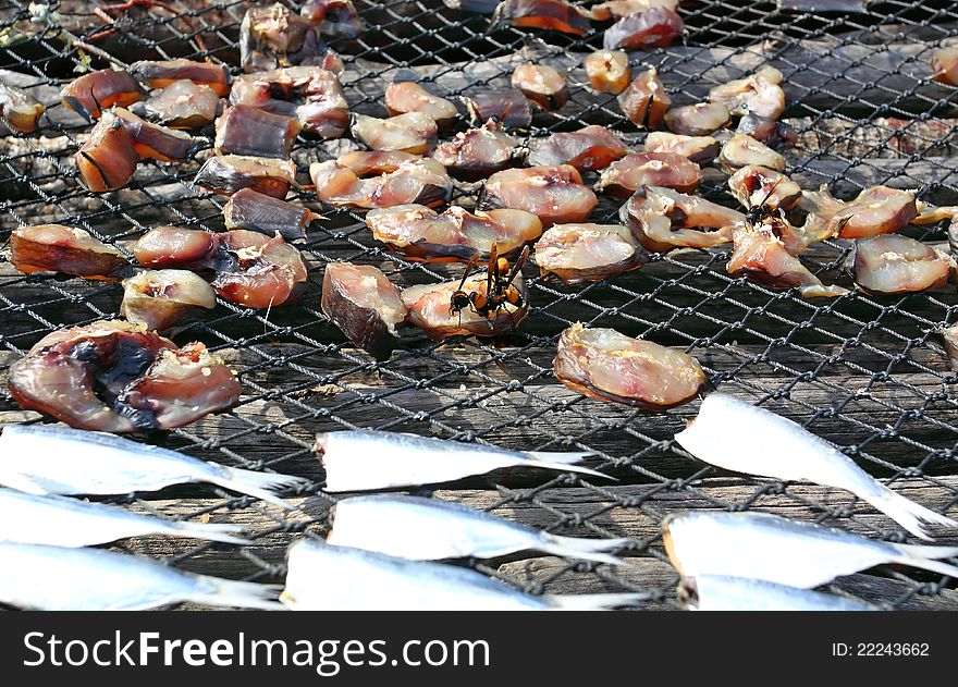 Dried fish in the fisherman village, Phangnga province