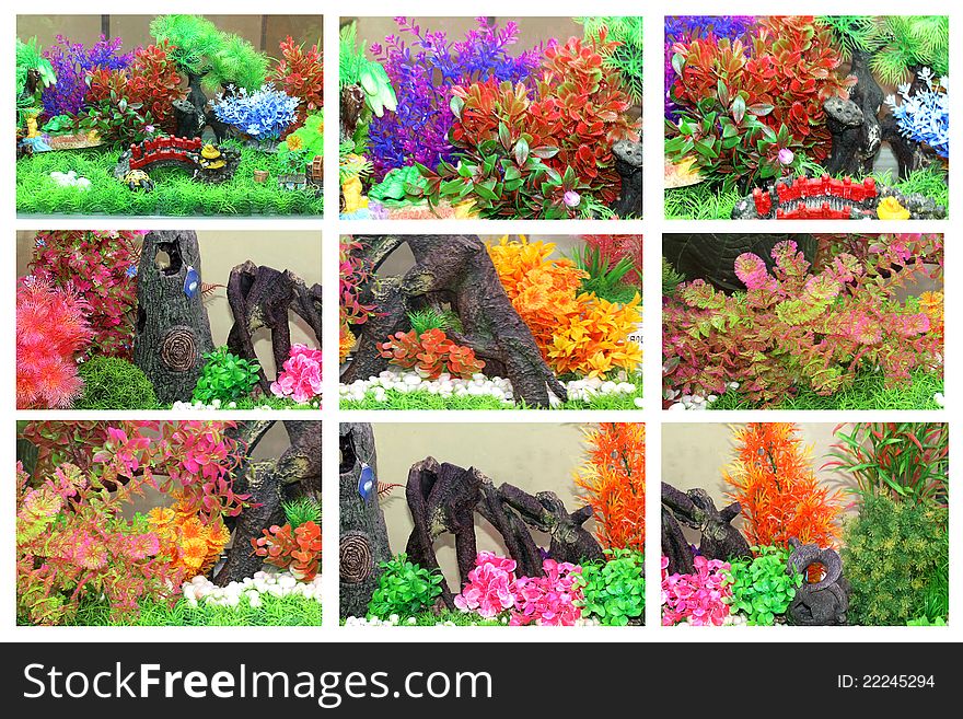 A beautiful collage of aquarium with colorful underwaater planats. A beautiful collage of aquarium with colorful underwaater planats
