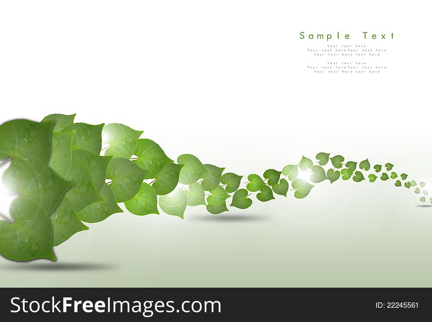 Background material image of leaf