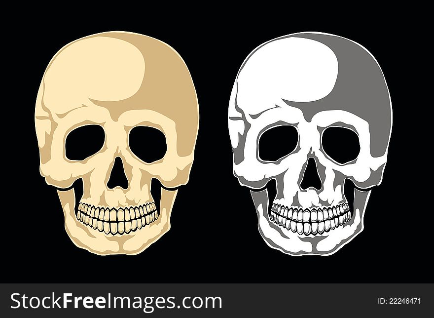 Human skull on black. Separate layers. Human skull on black. Separate layers