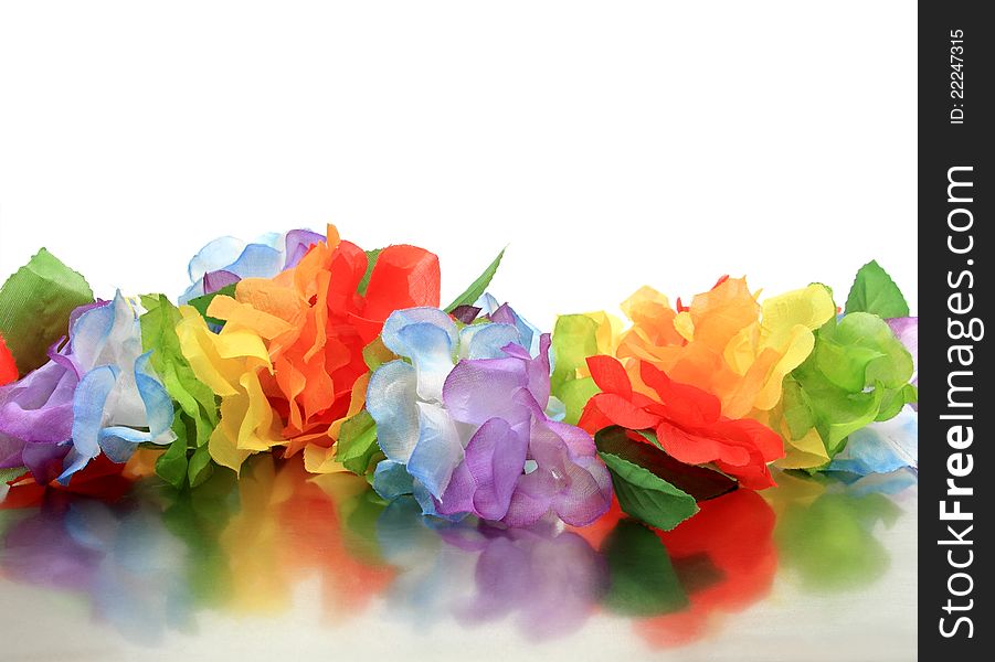 Closeup of colorful flower petals with reflection and white space. Closeup of colorful flower petals with reflection and white space