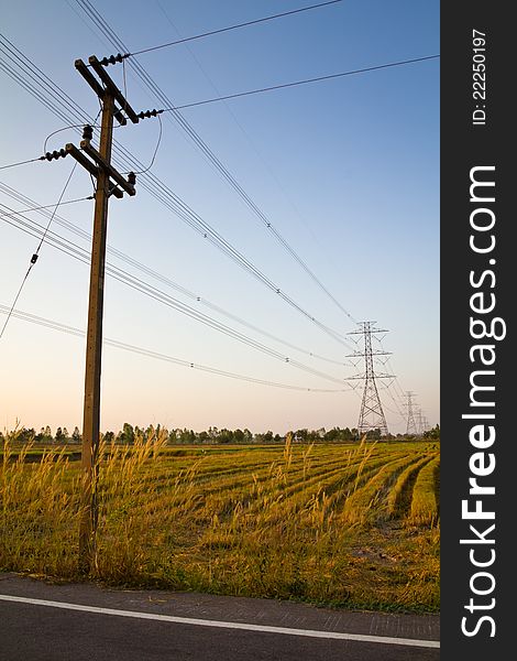 Electricity pole and wires at the paddy after the harvest