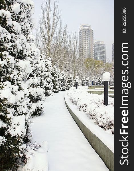 The winter scenery of park. The winter scenery of park