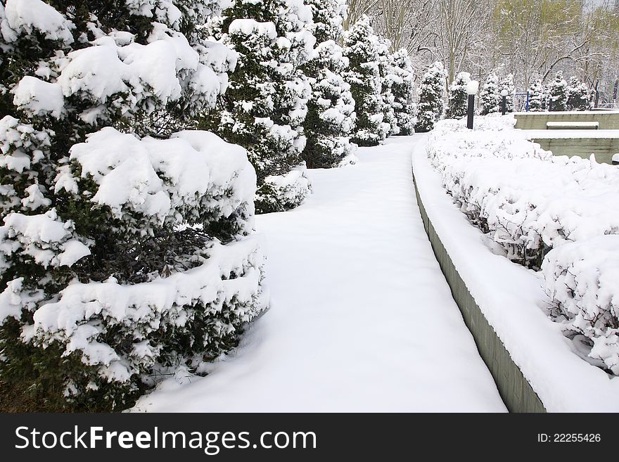 The winter scenery of park. The winter scenery of park