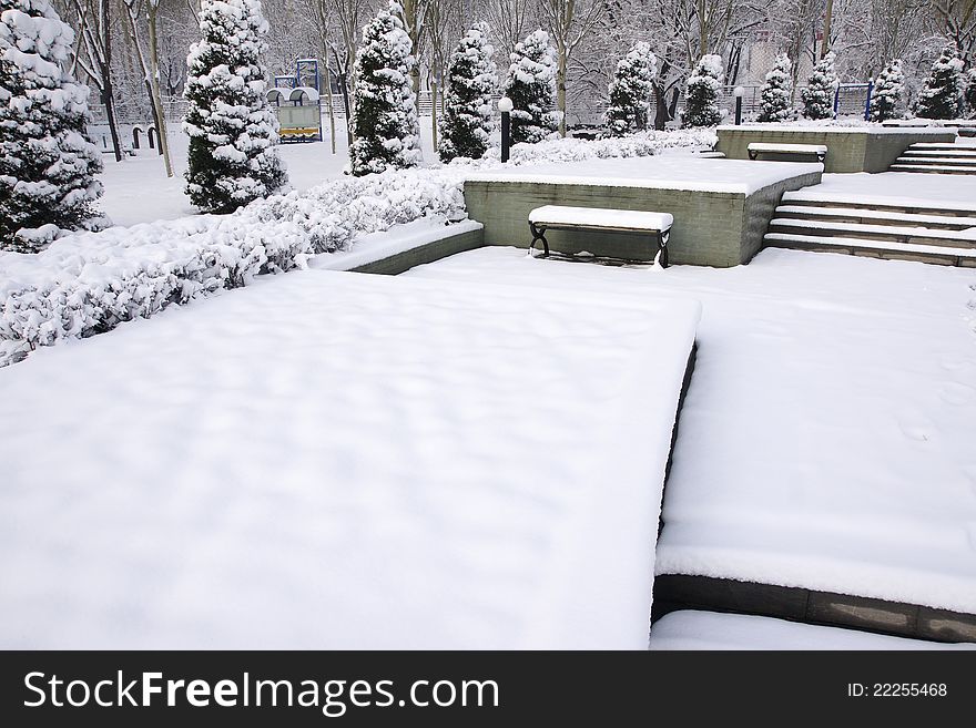 The winter scenery of park. The winter scenery of park