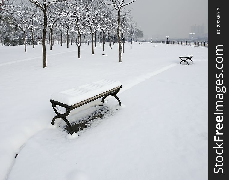 The scenery of park in winter. The scenery of park in winter