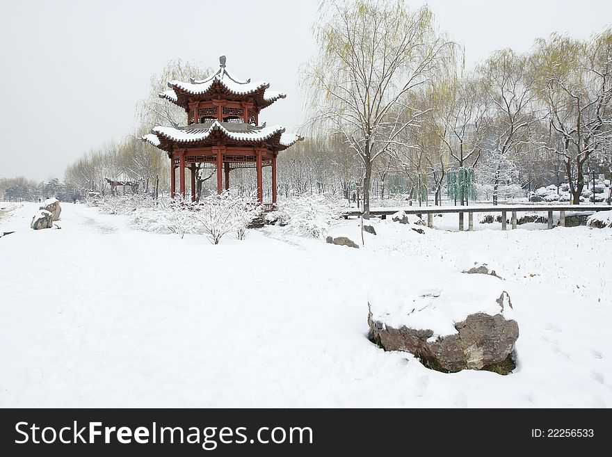 The scenery of park in winter. The scenery of park in winter