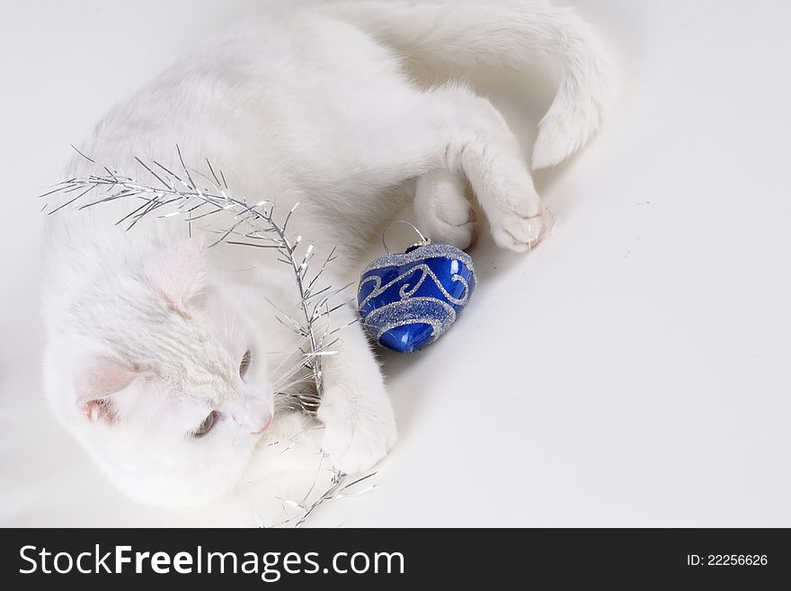 Kitty cat having fun with christmas ornaments. Kitty cat having fun with christmas ornaments