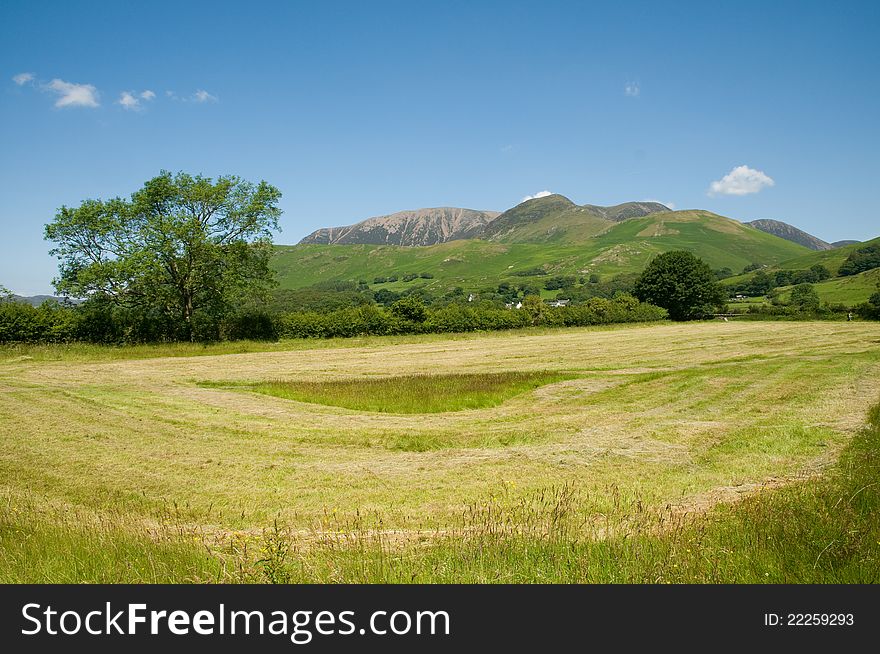 Field And Cumbrian Mountains