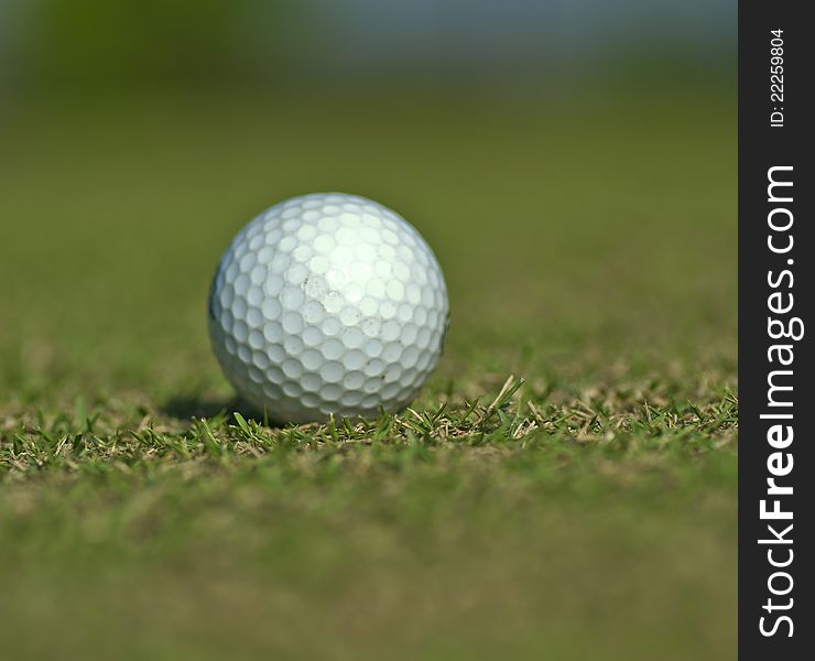 Golf ball on grass close up with shallow focus