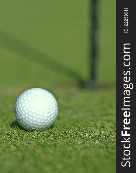 Golf ball on grass close up with shallow focus