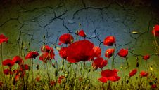 Grunge Poppies Background Stock Photo Grunge Poppies Background Stock Photo