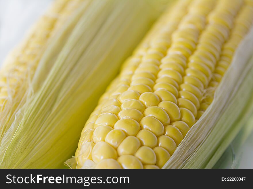 Fresh corn cobs.Extreme close-up.Shallow dof