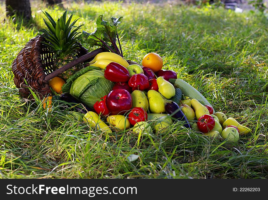 A harvest of seasnon vegetables spilling from a wicker basket. A harvest of seasnon vegetables spilling from a wicker basket