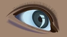 Human Eye Stock Photo Human Eye Stock Photo