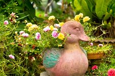 A Duck Clay Pot ,hardened Clay Of Earthenware Royalty Free Stock Photography