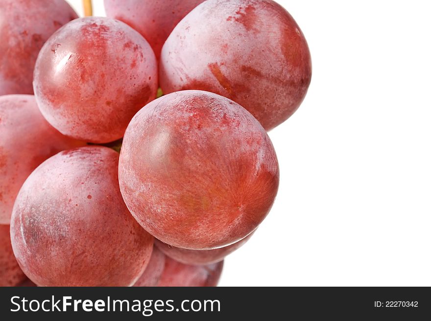 A close-up shot of purple Cardinal grapes on a white background. A close-up shot of purple Cardinal grapes on a white background