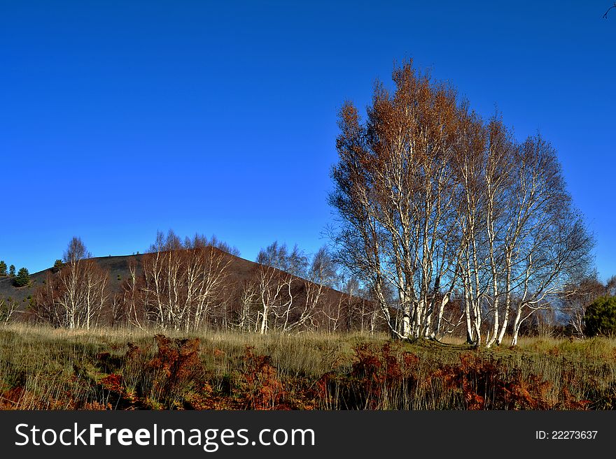 Natural scenery of the Etna Regional Park in Zafferana - Catania (Sicily)