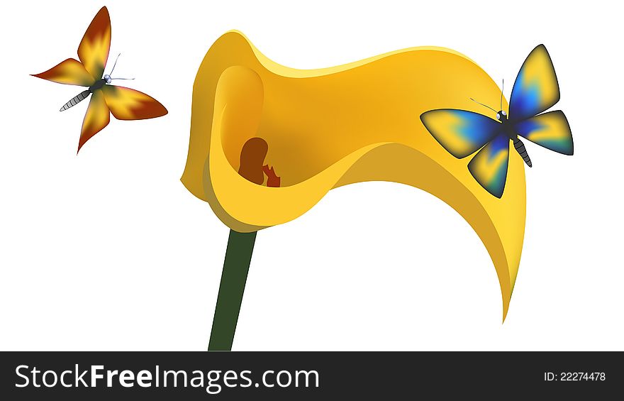Two butterflies and a flower on a white background