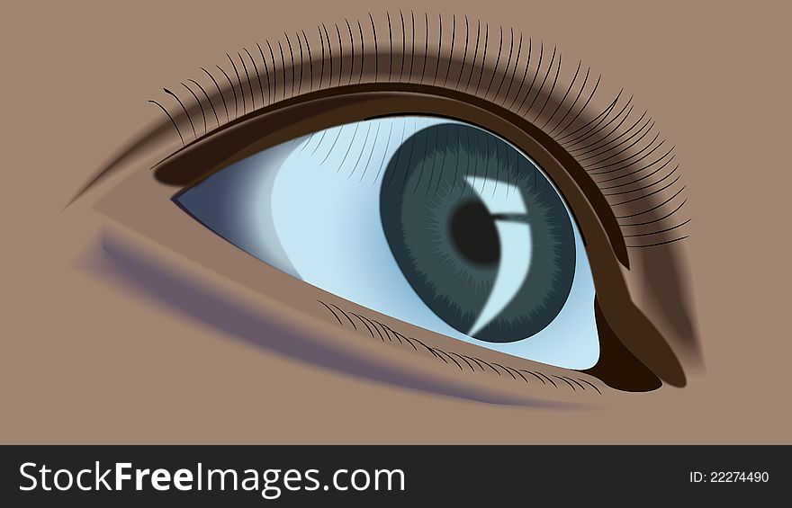 External view of an human eye.