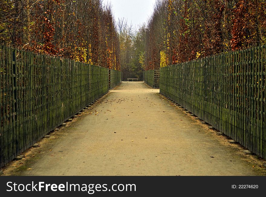 Footpath in autumn, Versailles gardens, France