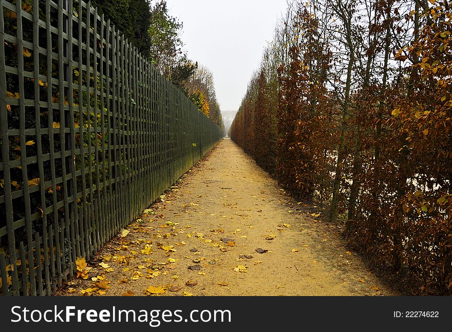 Footpath in autumn, Versailles gardens, France