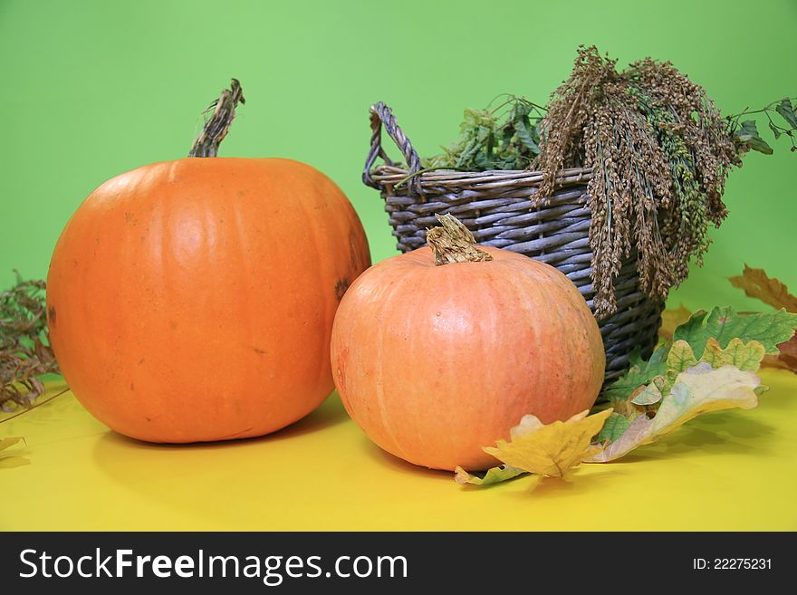 Scene of pumpkins and gourds at thanksgiving. Scene of pumpkins and gourds at thanksgiving.