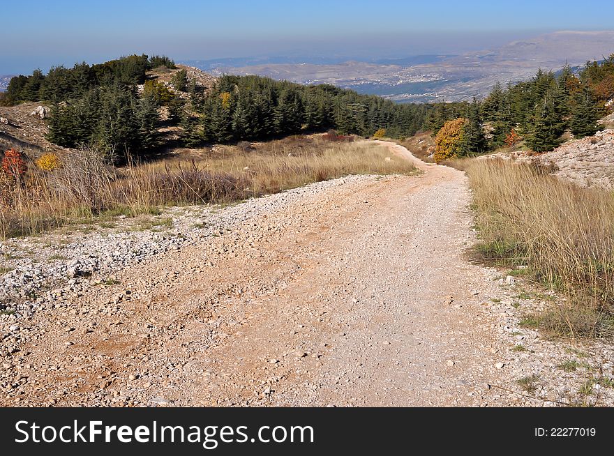 A walking trail along Barouk Cedars of Lebanon. A walking trail along Barouk Cedars of Lebanon