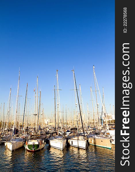 Sailboats resting in the harbor