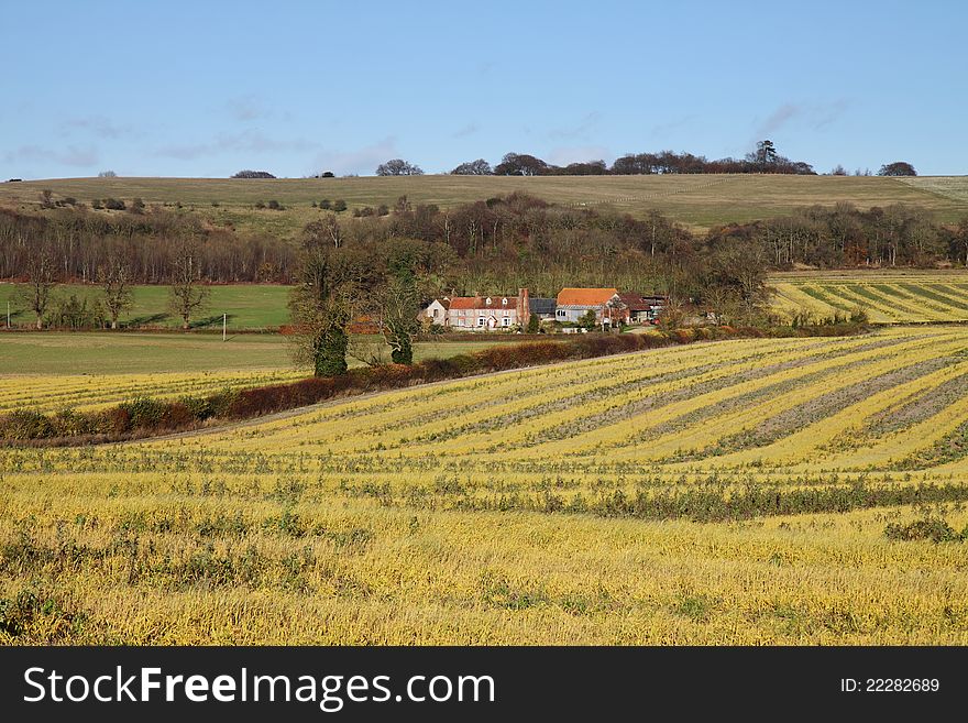 An English Rural Landscape in early Winter with with Farmhouse in the distance. An English Rural Landscape in early Winter with with Farmhouse in the distance