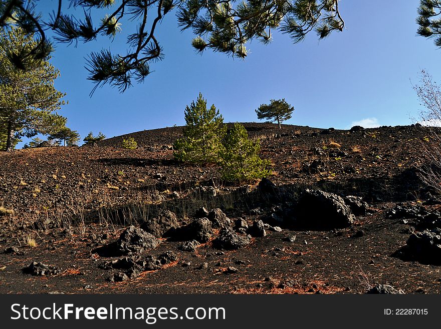 Natural scenery of the Etna Regional Park in Zafferana - Catania (Sicily)