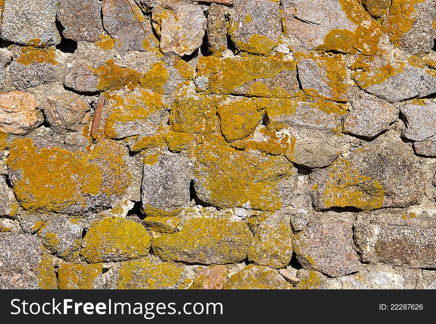 Stone and moss background