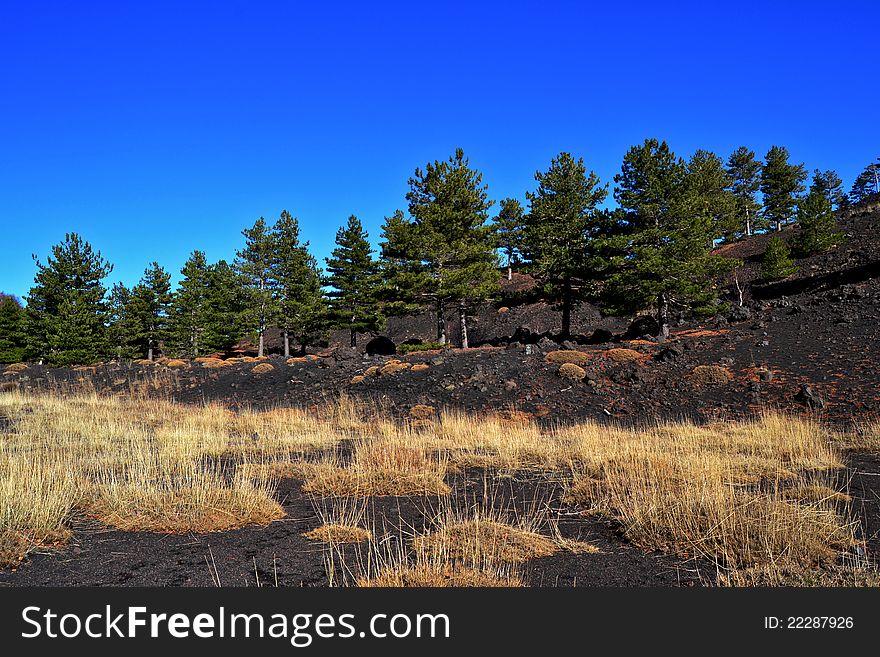 Natural scenery of the Etna Regional Park in Zafferana - Catania (Sicily)