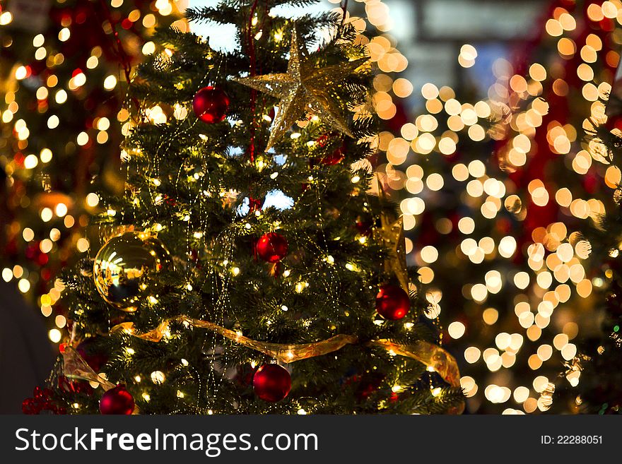 Christmas light decorations set up on beautiful christmas trees for the holidays