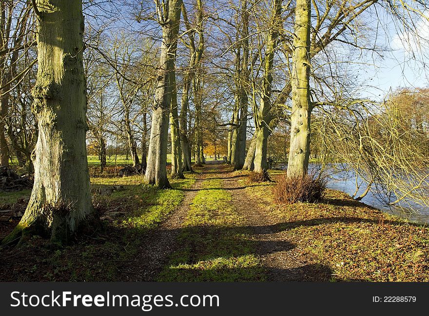 Avenue of Winter Lime Trees, Stamford on Avon on the Leicestershire, Northamptonshire boarder, England