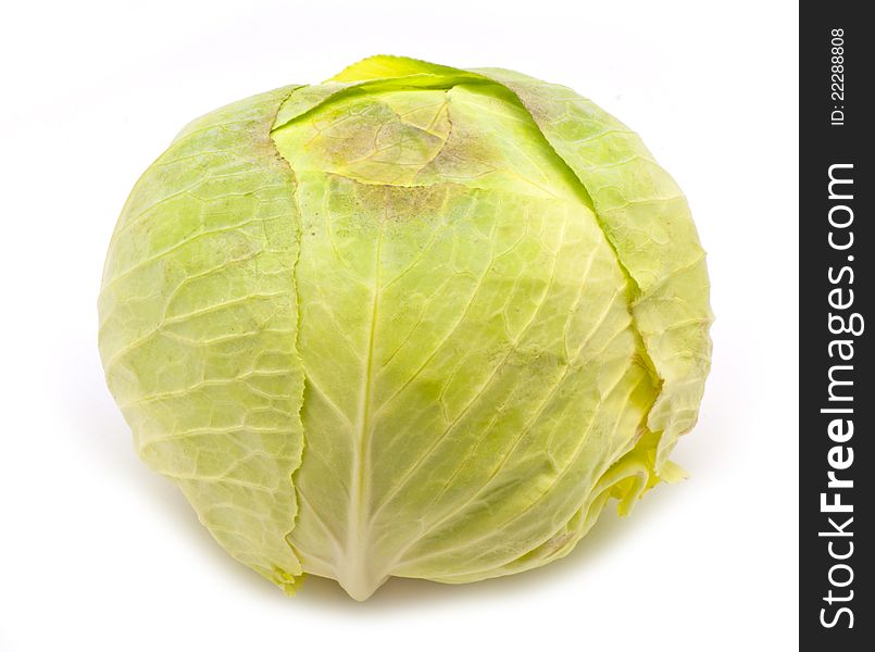 Fresh cabbage for food on white background