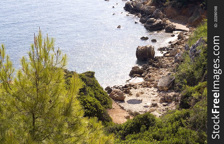 Look at the wild beach. Look at the wild beach