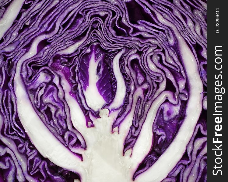Close Up On Red Cabbage