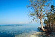Tropical Scene Royalty Free Stock Image Tropical Scene Royalty Free Stock Image