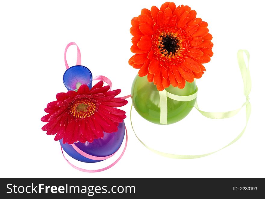Two gerberas in vases on white. Two gerberas in vases on white