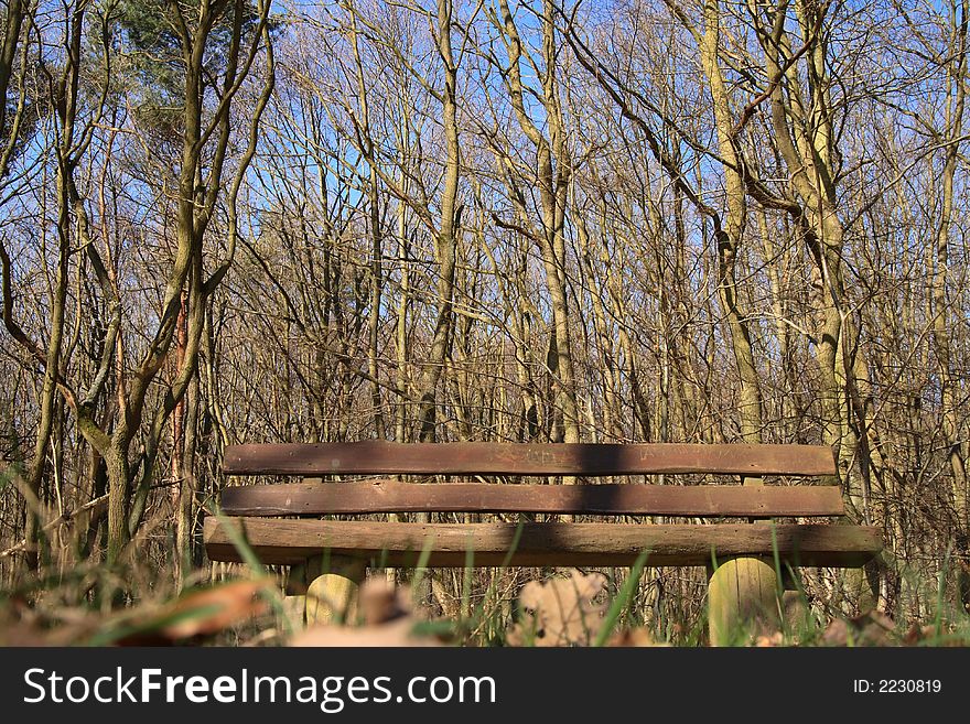 Bench in nature