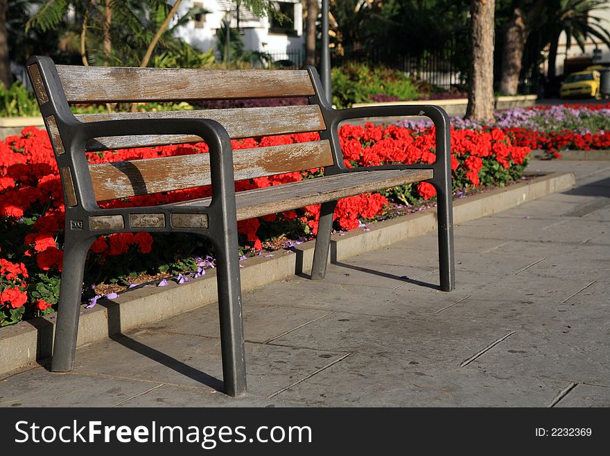 Empty bench in the park with red flowers. Empty bench in the park with red flowers